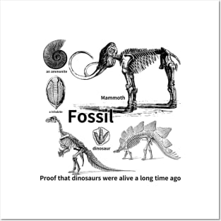 fossil, Proof that dinosaurs were alive a long time ago, dinosaur, an ammonite, a trilobite Posters and Art